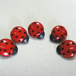 ＃511（39）１５×１３ｍｍ　ボタン　手芸　てんとう虫　１５個