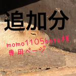 momo1105hota様専用ページ☆追加分