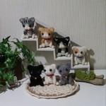 ねこ・ネコ・猫。ねこだらけ♪