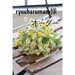 ryuuharumam様専用オーダー
