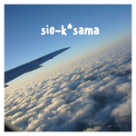 ◆sio-kさま専用◆