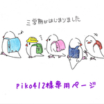 piko412様専用ページ