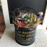 多肉植物寄せ植え☆BBP2