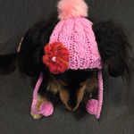 Sサイズ 犬用ニット帽