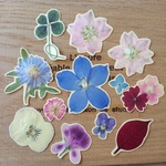 ほんもの押し花のフレークシールR 