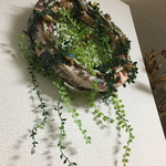 グリーンシャワー