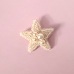 ビーズ刺繍のブローチ(21)１等星/大粒パール