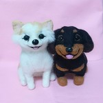 【オーダー】 チワワ & ミニチュアダックス お座ぬいぐるみ (大) ハンドメイド 羊毛フェルト