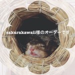 sakurakawaii様専用　オーダーリクエスト