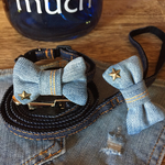 犬用♪首輪&リードセット