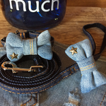 犬用首輪&リードセット