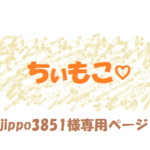 jippo3851様専用ページです。