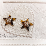 セール♡キラキラビジュー×星べっ甲 ピアス