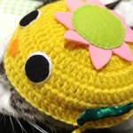 ☆かっぱさん☆ネコちゃんのぼうし☆一点もの！☆Ambitionsカラー☆黄色☆リボンつき☆ボタンつき☆フェルト手縫い☆猫ねこ帽子☆カッパ☆動物シリーズ？☆