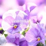 asamilk様オーダー専用