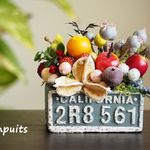 ミニチュアフルーツガーデン(CALIFORNIA)