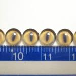 オーダーのお品○ガラスカボション６ｍｍ○グラスアイ３セット