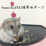 tamayou0802様専用ページ