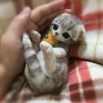 おねがいにゃんこNo.163
