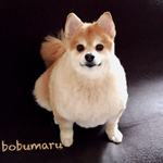 ✩︎⡱s様専用ご購入ページ✩︎⡱