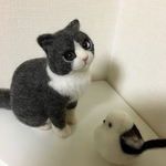猫オーダー品