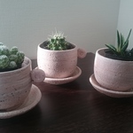 植木鉢