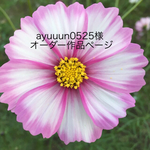 ayuuun0525様オーダー作品