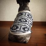 ネイティヴ柄おようふく