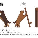 A様注文分☆多頭で支えるスマホスタンド2種