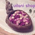 ☆uilani shopさま専用☆