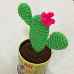 サボテン 🌵あみぐるみ☆お受験御守り