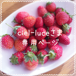 ☆ciel-luce様専用ページ☆