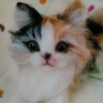 〔pepipu様専用ページ〕三毛猫ちやん
