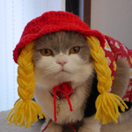 金髪美人