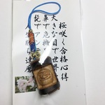 桜の木の勝ちダルマ