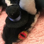【めぐさんオーダー品】闇夜の九尾さんオス