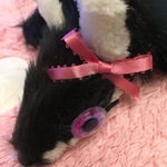 闇夜の九尾さんメス