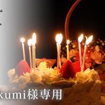 rikumi様専用ページ