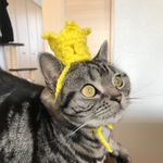 猫用帽子 クラウン