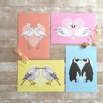 鳥たちのポストカードセット LOVE BIRD CARD SET
