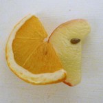 すらいすだもん！