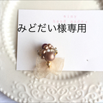 みどだい様専用♡