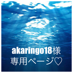 akaringo18 様専用♡