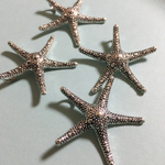ヒトデ 3.6cm×3.8cm 4個セット