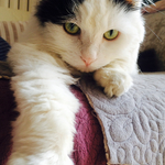 maruharuk 様【オーダー専用ページ】