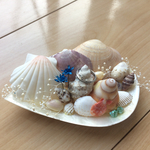 天然シェルリングピロー