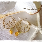Juicy Fruit（14kgf）　～ 夏みかん ～
