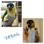 【値下】90-104　シャツ生地　フライトスーツ★バードダイパー