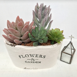 多肉植物 フェイク 寄せ植え アレンジ  鉢