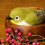 ずんだもちのメジロ　野鳥